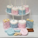 60ct Gender reveal treats bundle candy table.